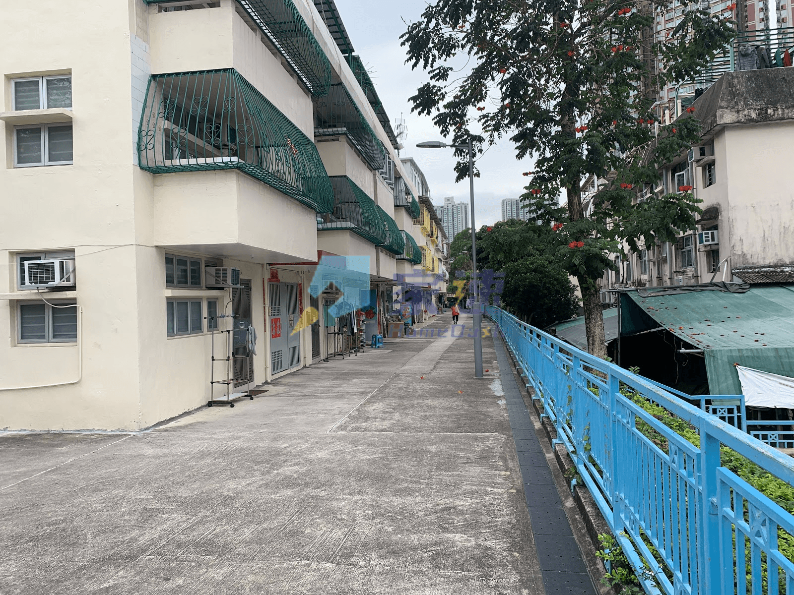 涌美老屋村 屋苑外觀