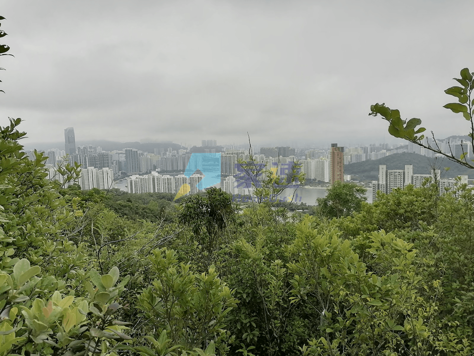 油柑頭村 屋苑外觀