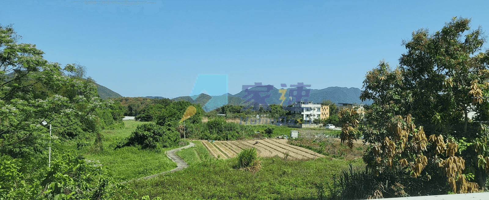 鳳凰湖 屋苑外觀