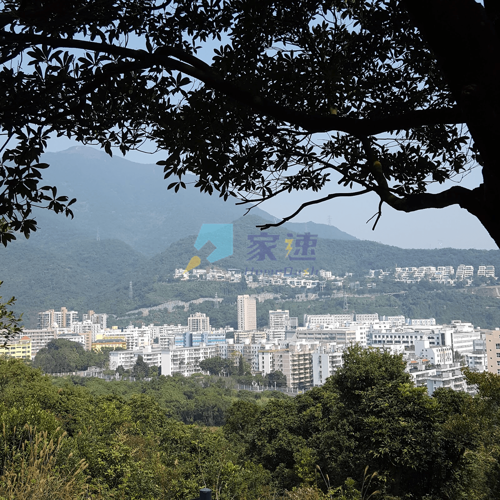 沙頭角山咀 屋苑相片