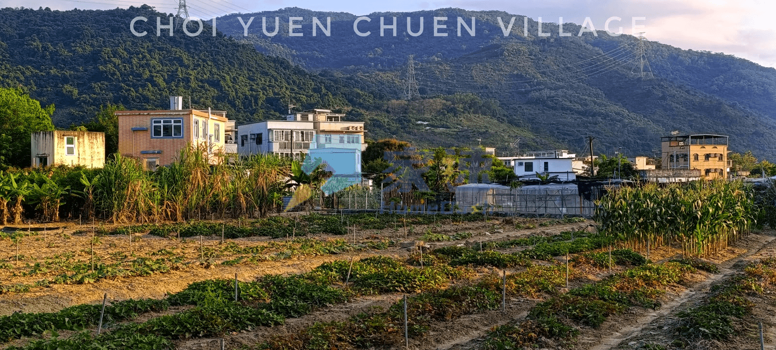 藍地菜園村 屋苑外觀