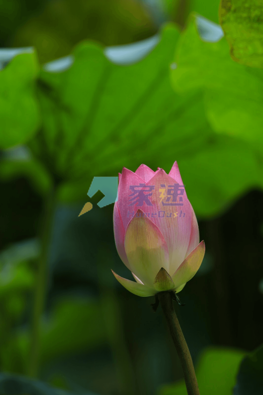 振聲花園 屋苑外觀