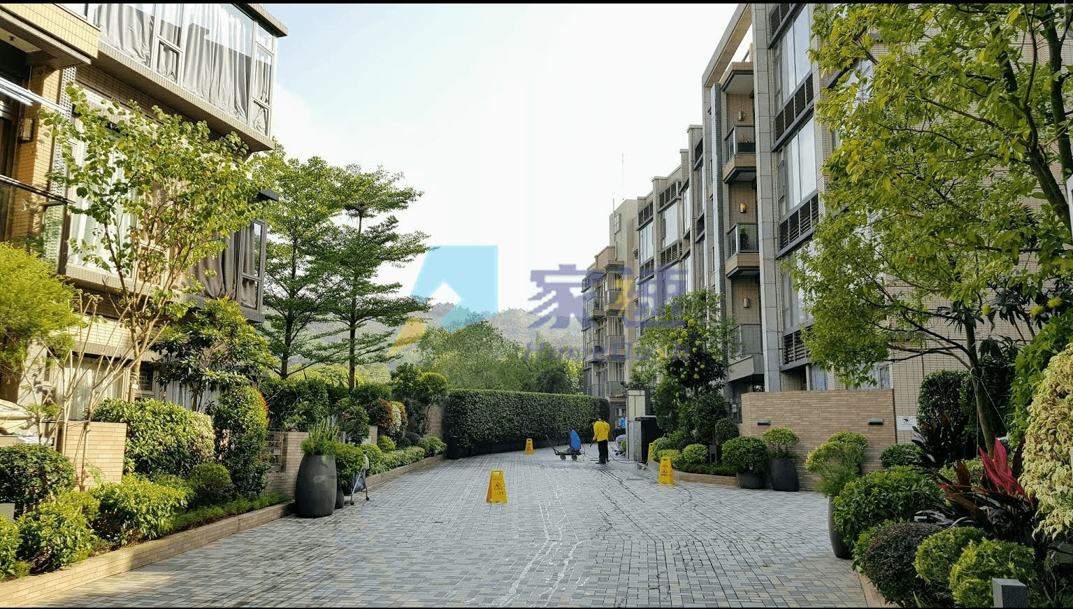 溱林 屋苑外觀