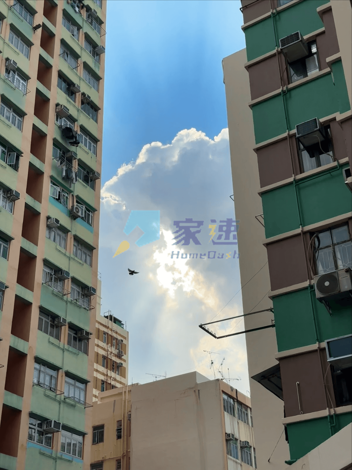 鴻發大樓 屋苑外觀