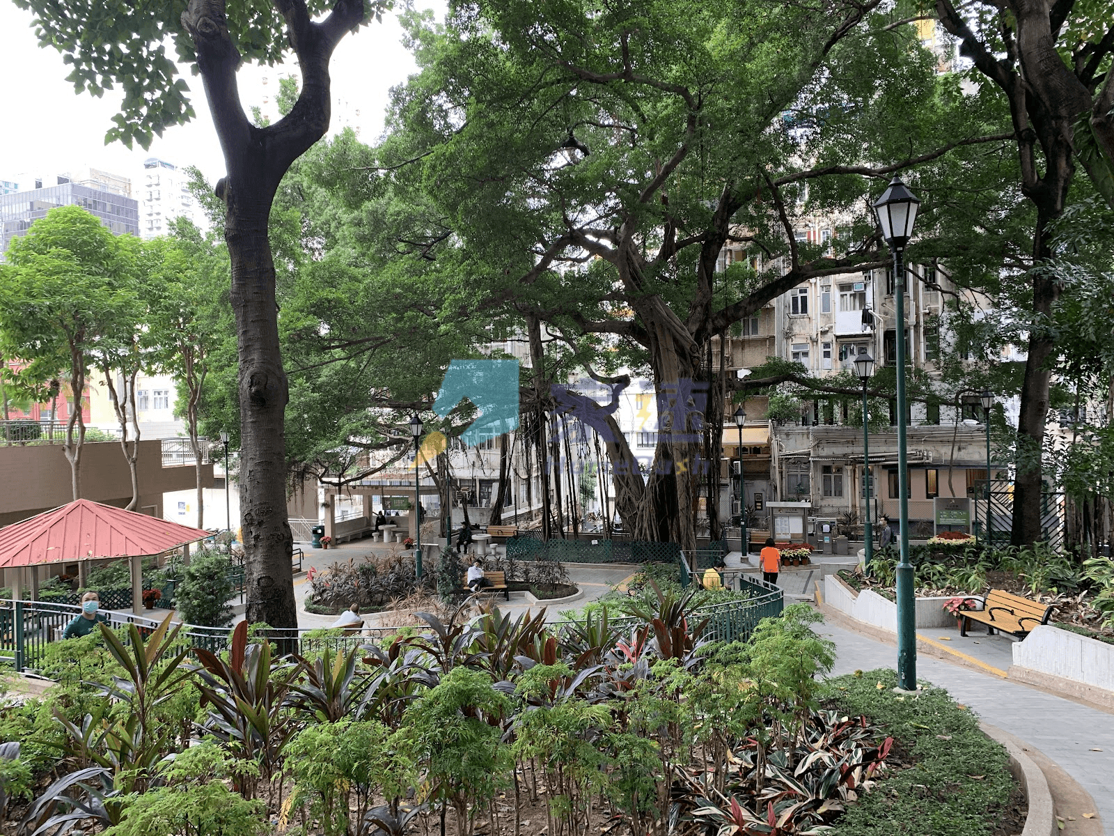 藝典居 屋苑外觀