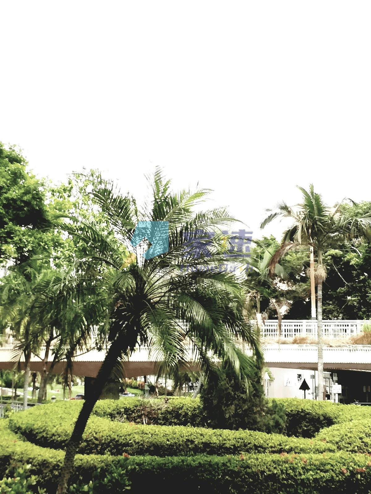 巷尾村 屋苑外觀