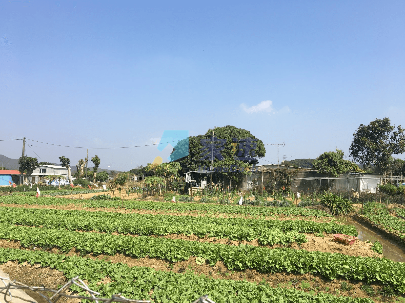 御柏山 屋苑外觀