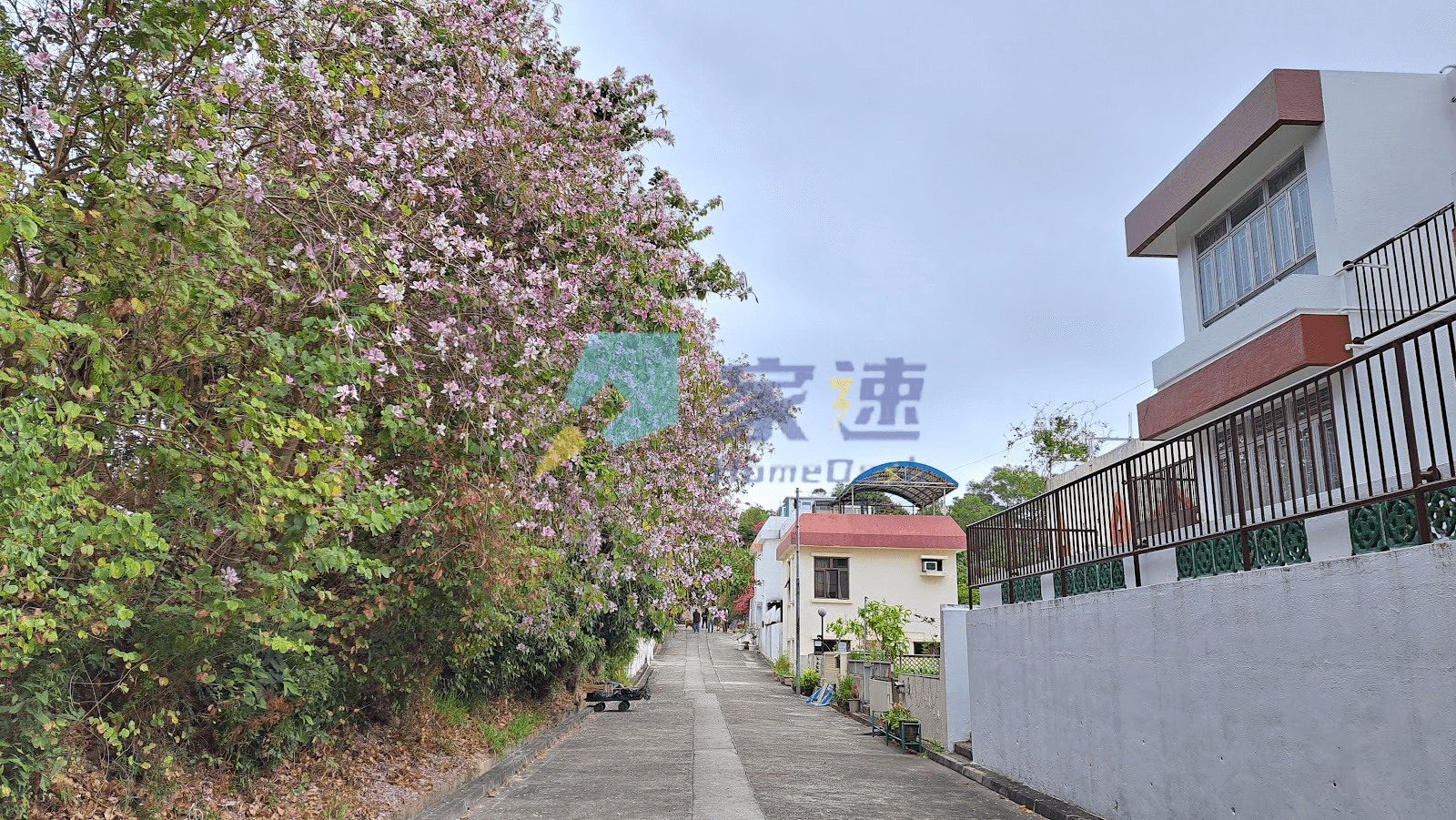 南山路11號 屋苑外觀