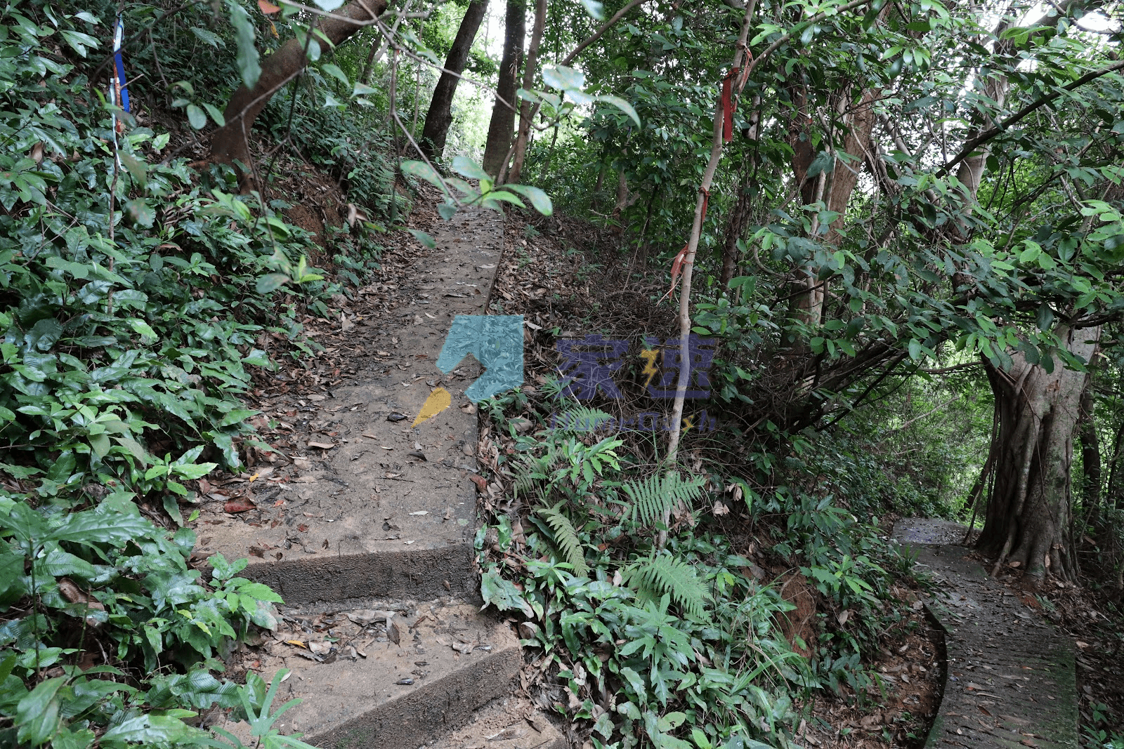 下黃宜坳 屋苑外觀