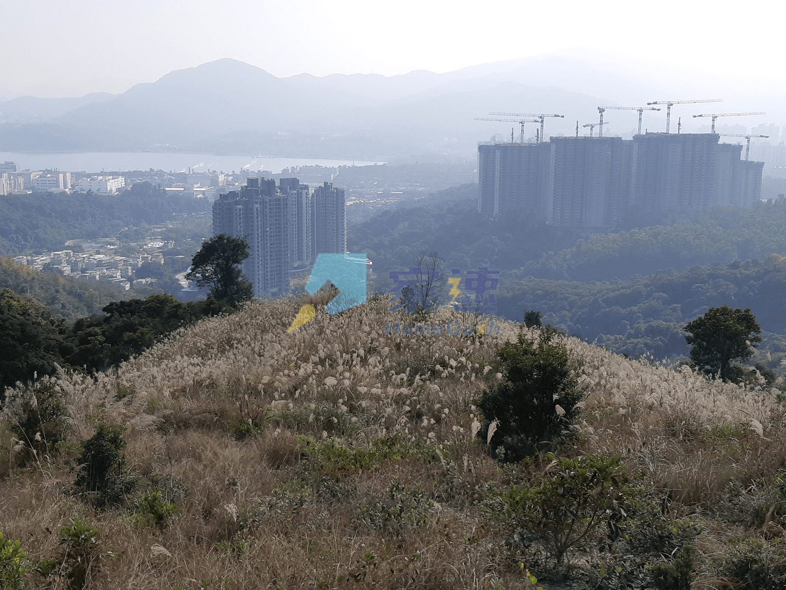 鳳園 屋苑外觀