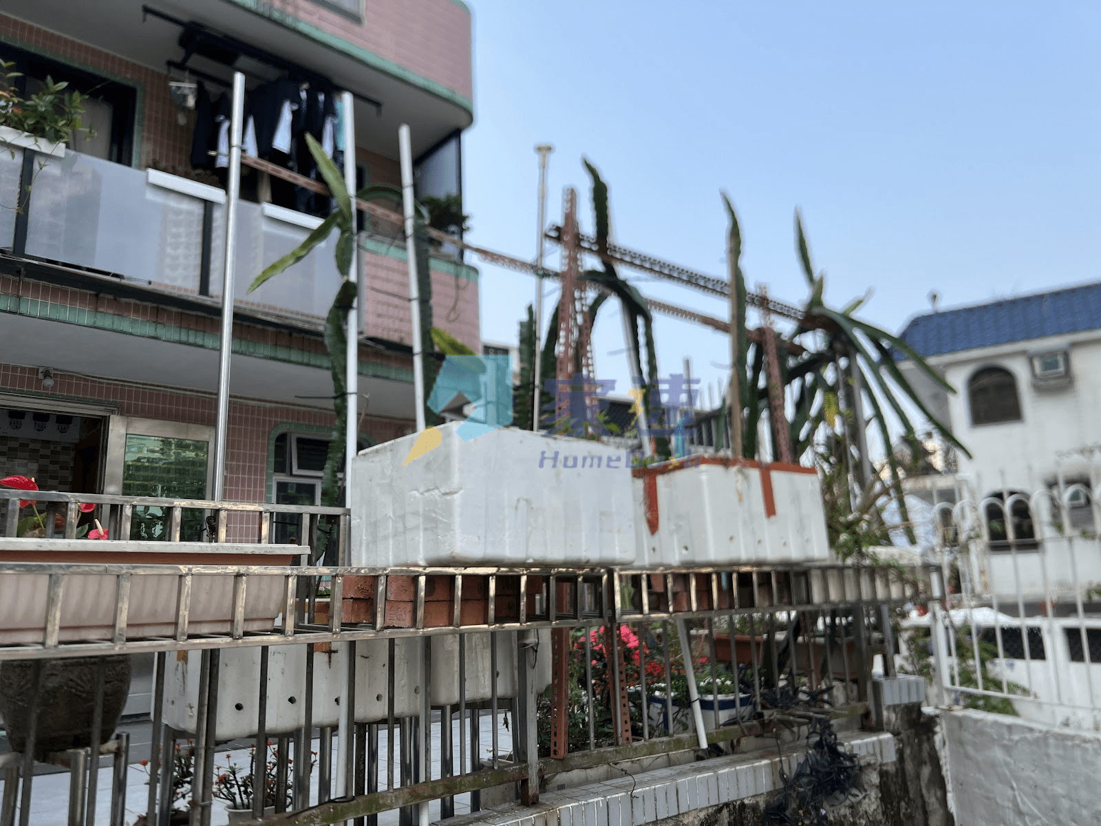 小瀝源東約 屋苑外觀