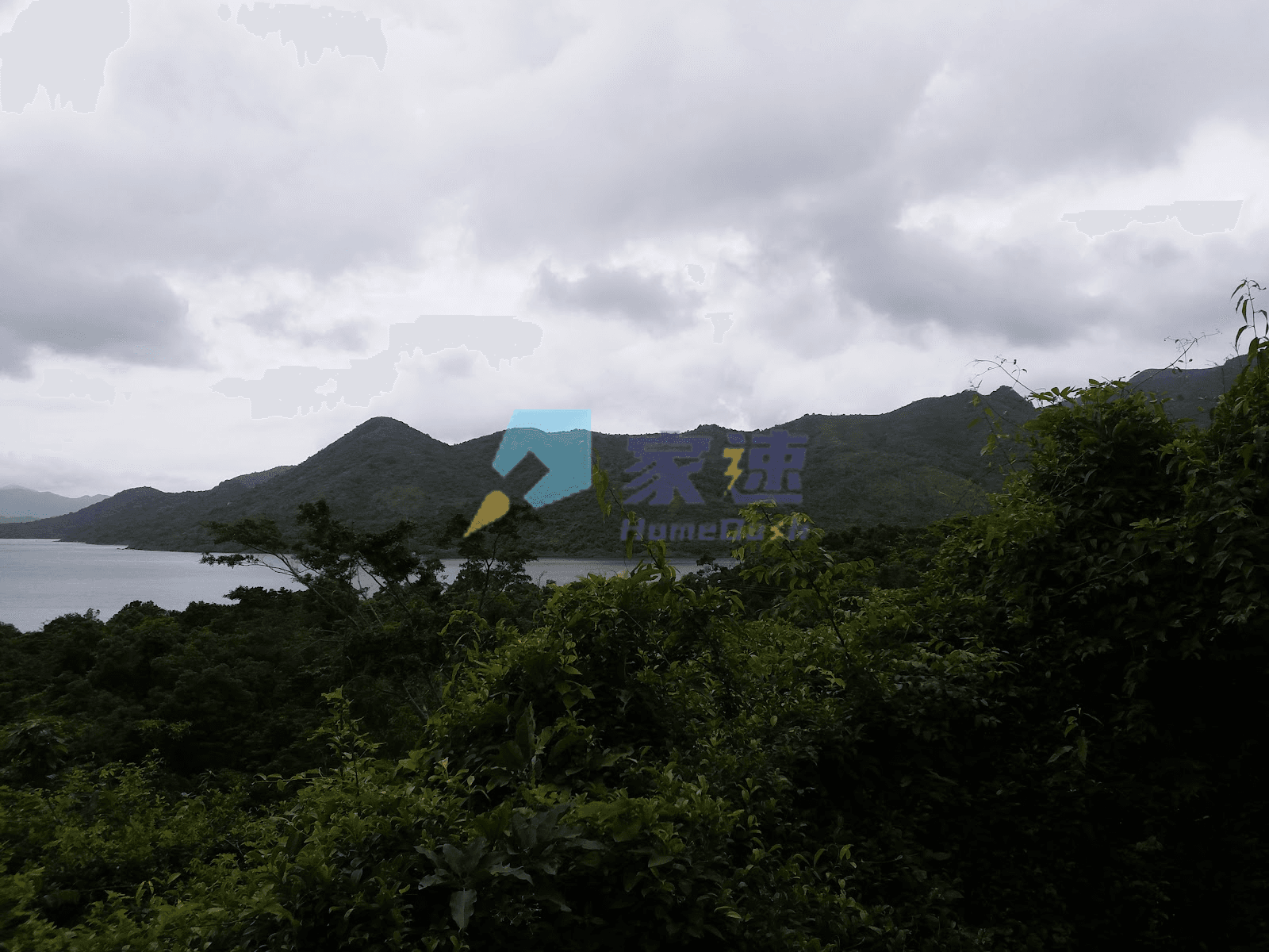 新填地街300-302號 屋苑外觀