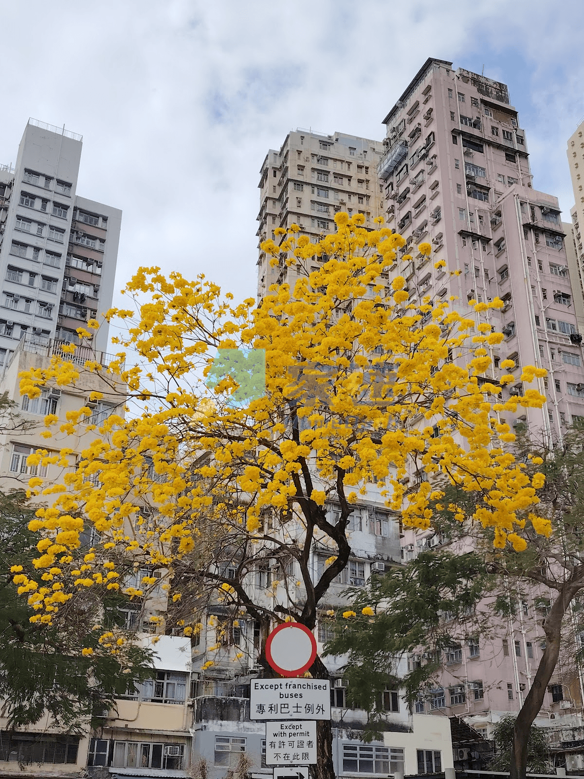 雲華樓 屋苑外觀