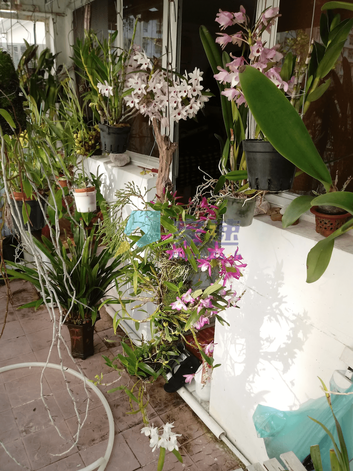萬年戲院大廈 屋苑外觀