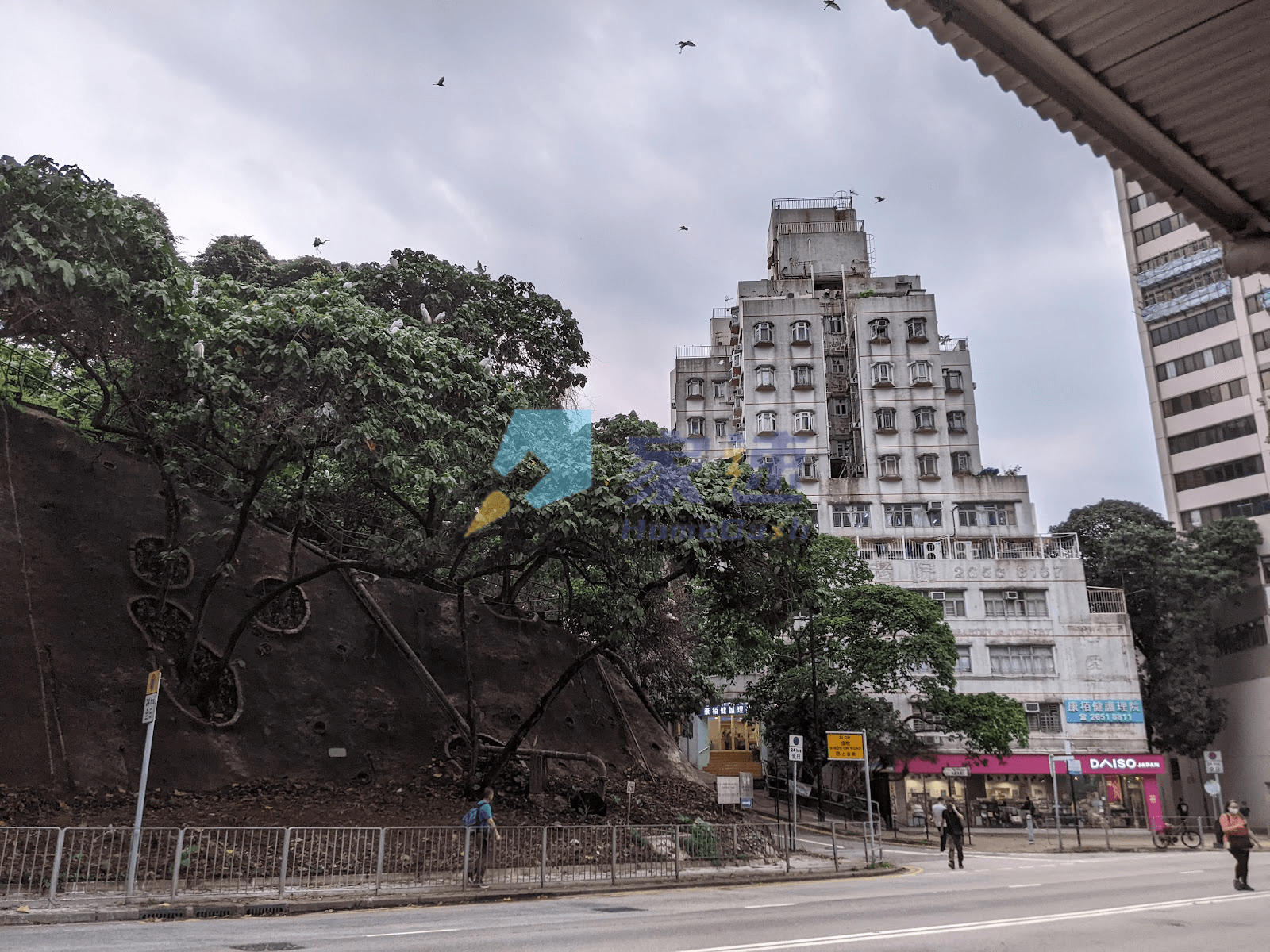 富景樓 屋苑外觀