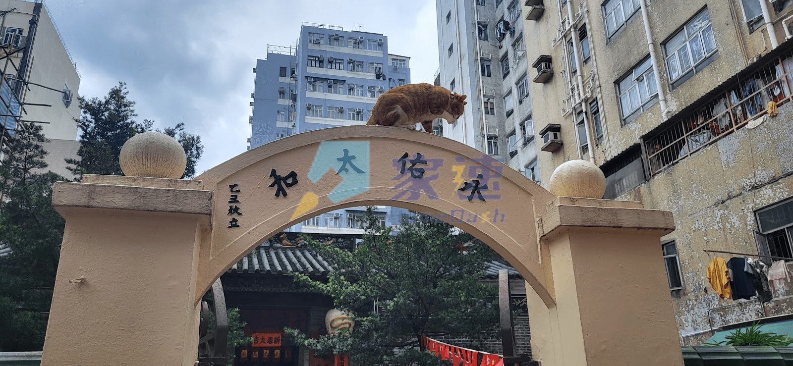宏基大廈 屋苑外觀