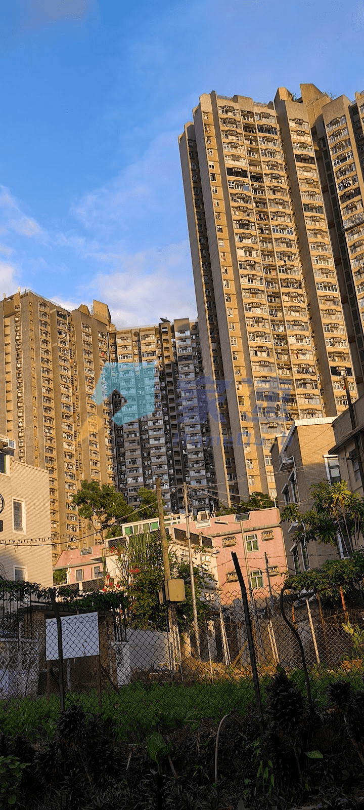 崗背村 屋苑外觀