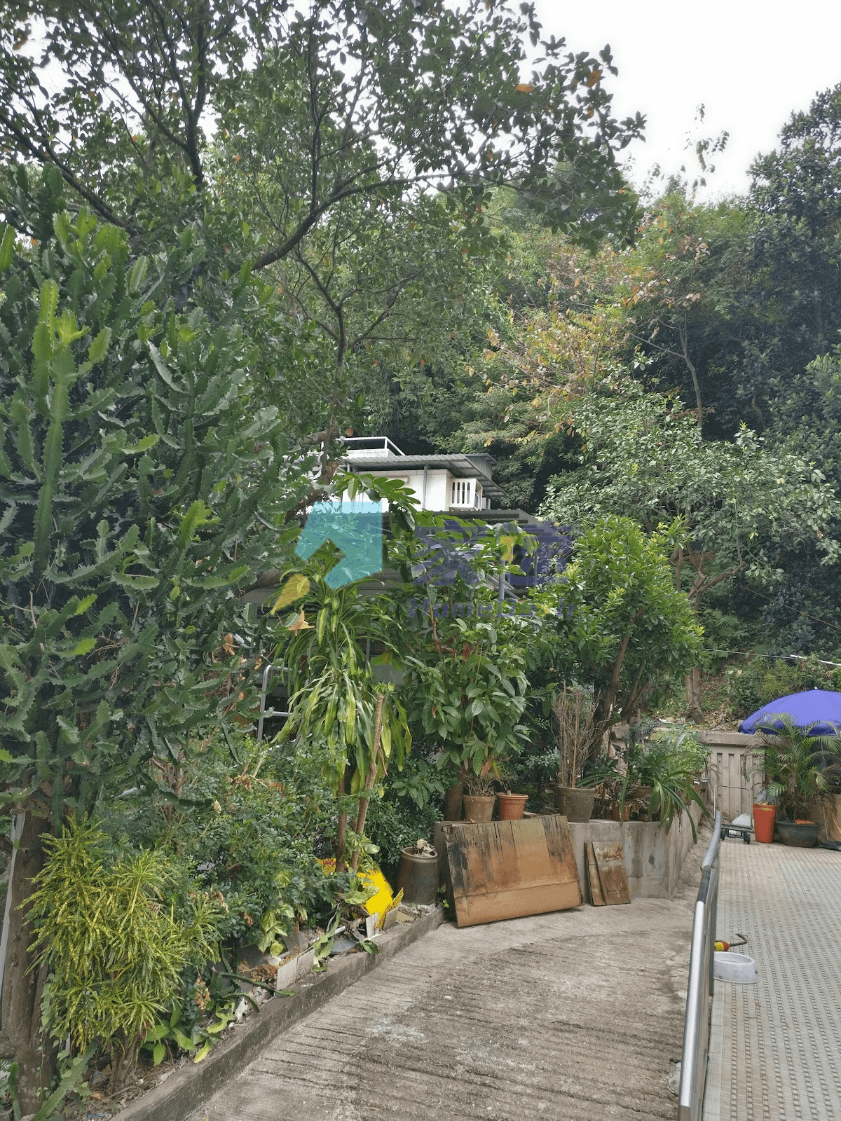 新田村 屋苑外觀