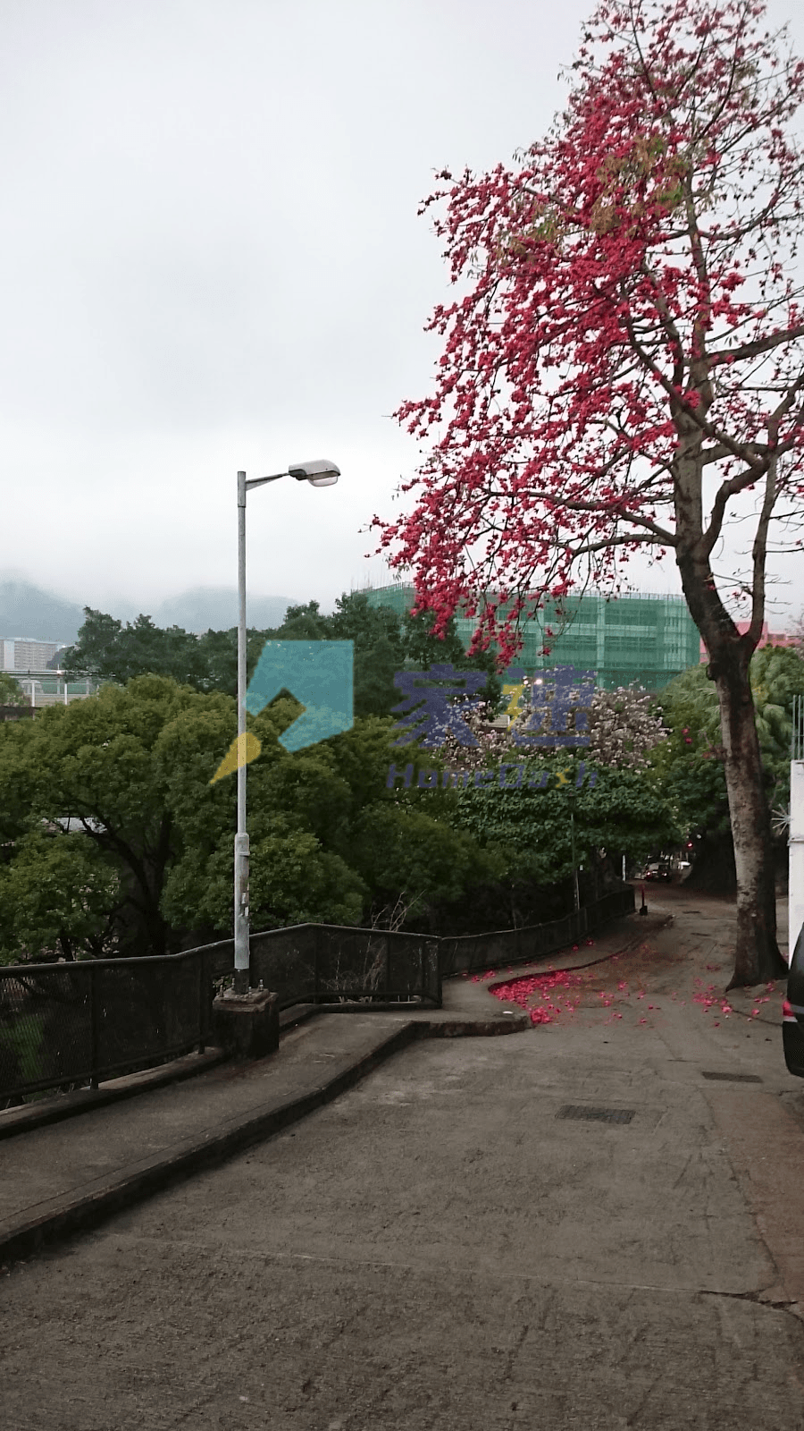 安樂苑 屋苑外觀