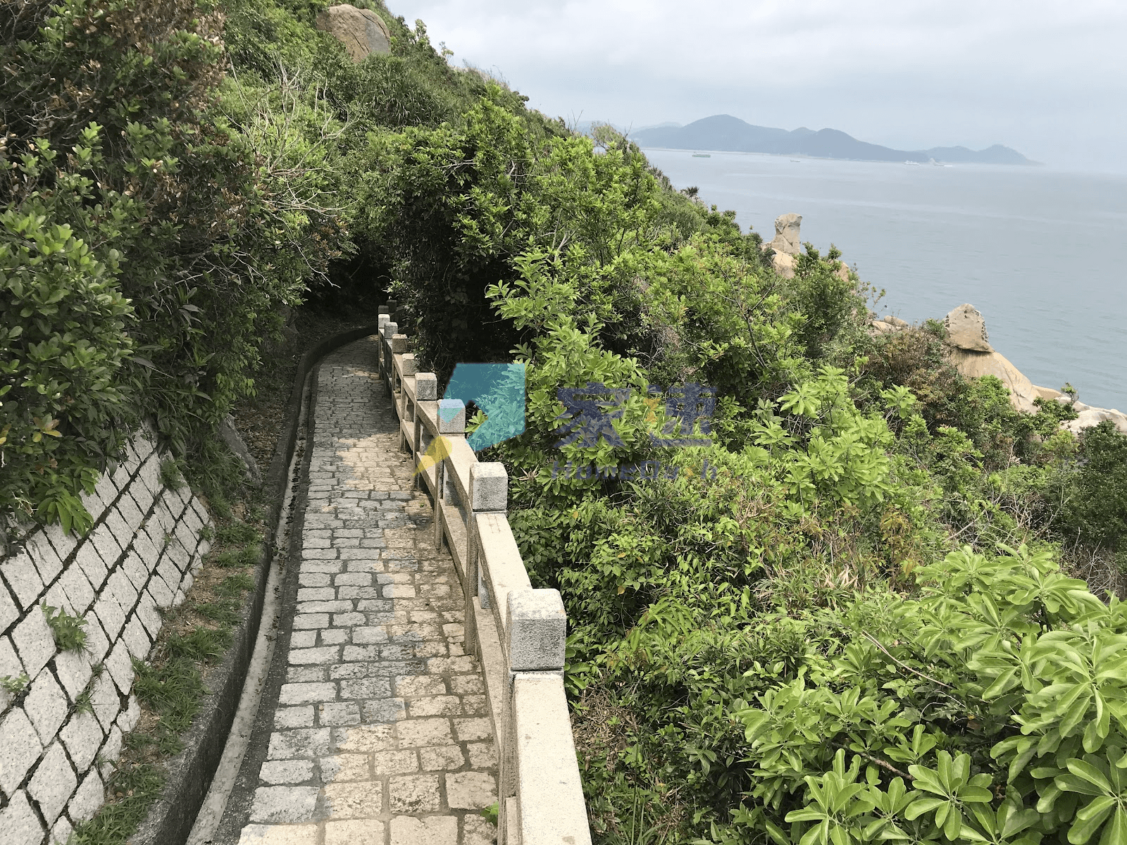 長洲山頂道西971號 屋苑外觀