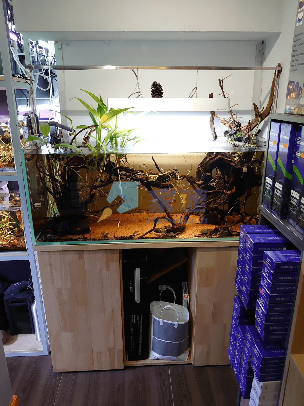 通菜街201號 屋苑外觀