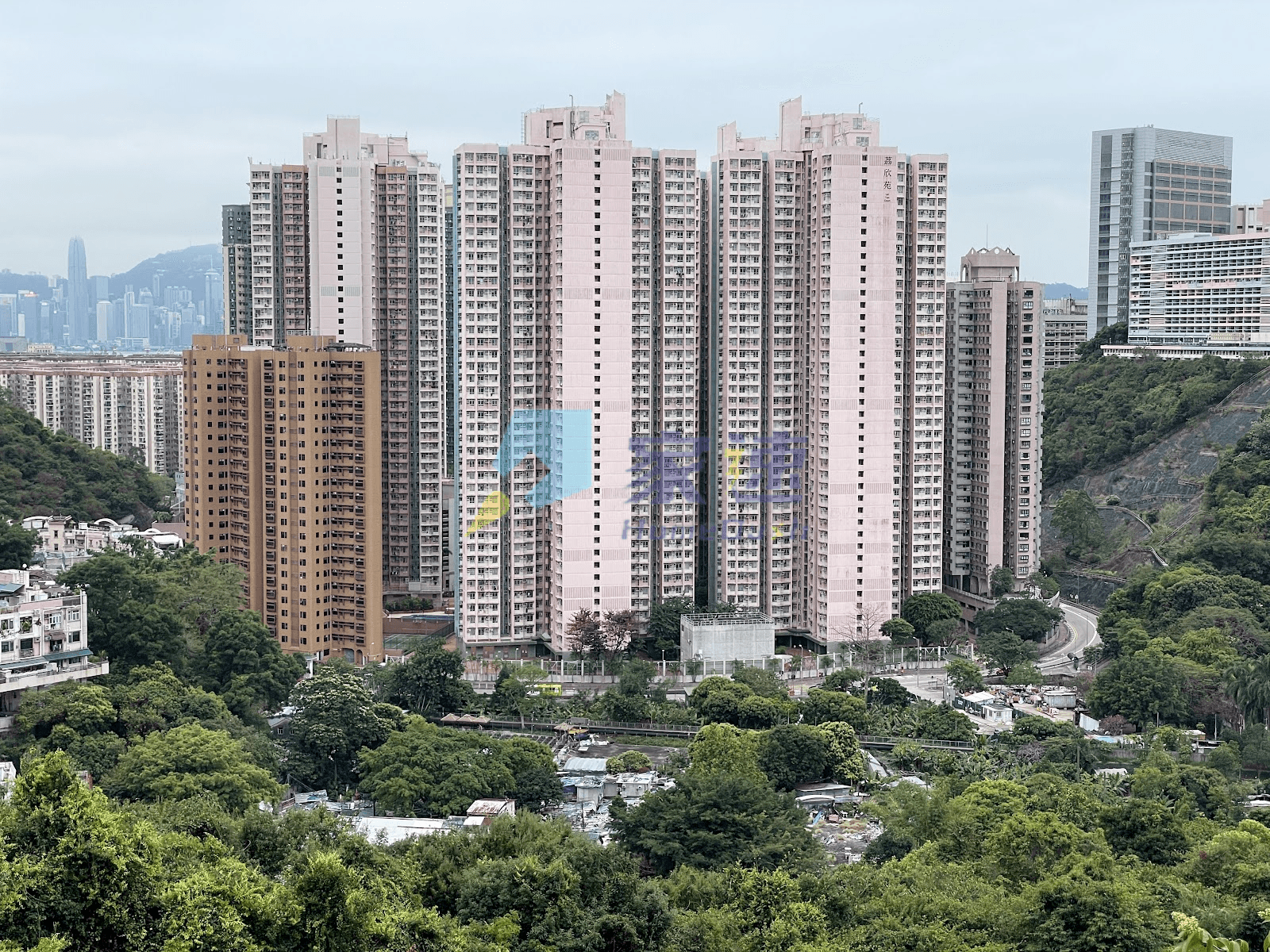 荔欣苑 屋苑外觀