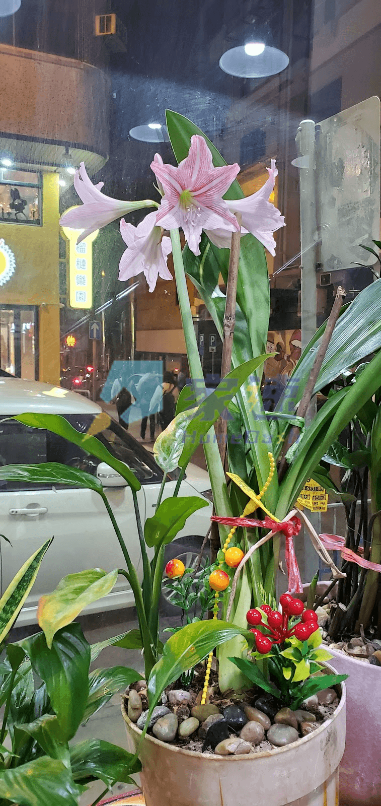 金輝閣 屋苑外觀