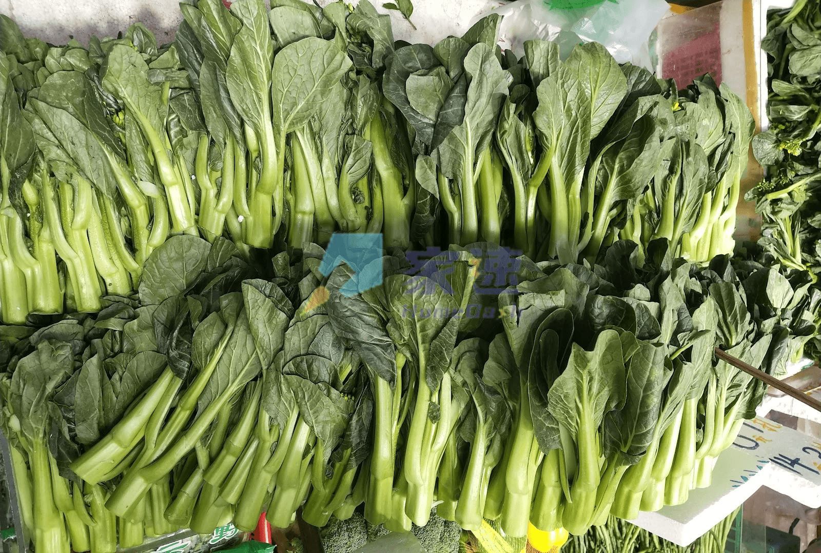 北河街80-82號/基隆街240號 屋苑外觀