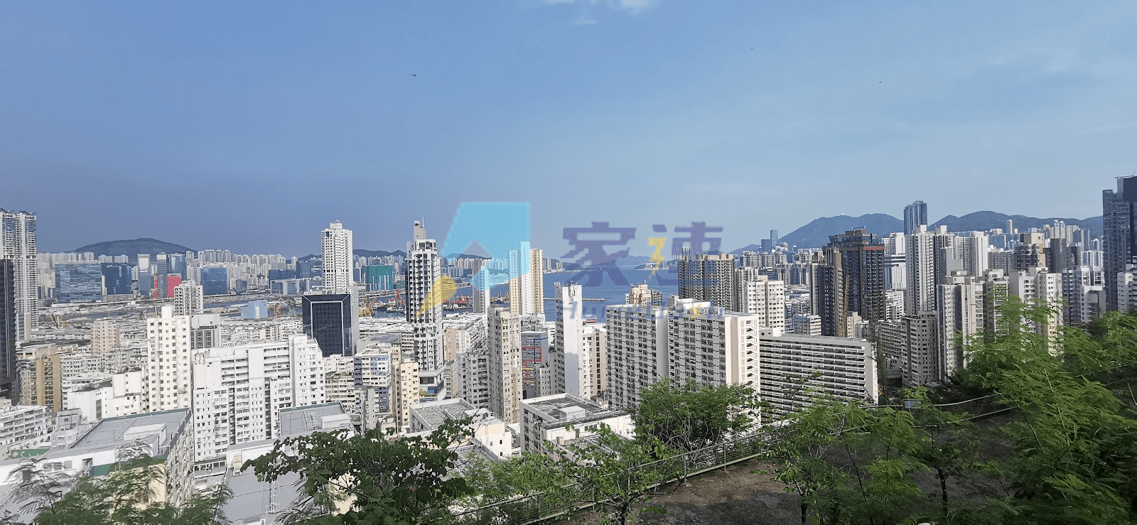 靠背壟道167號 屋苑外觀