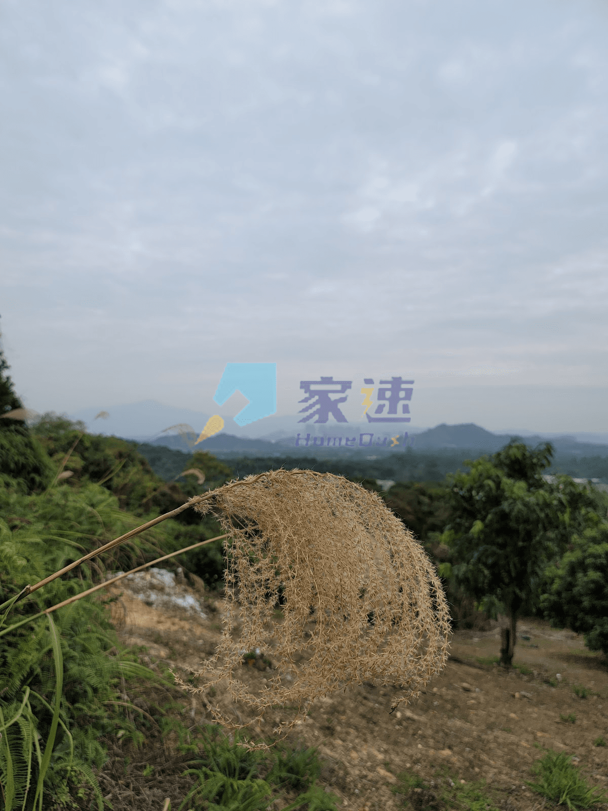 富成閣 屋苑外觀