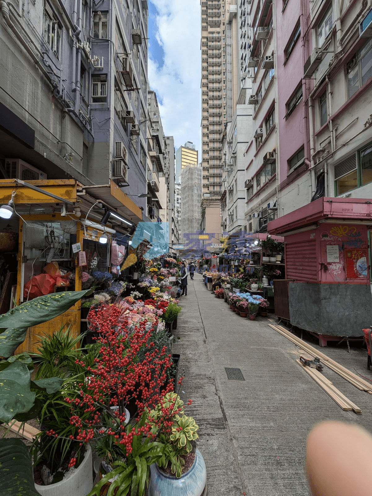 錦德大廈 屋苑外觀