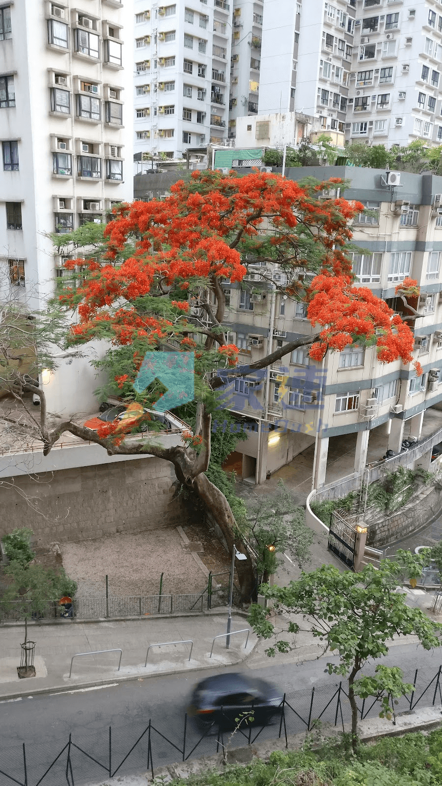 福利樓 屋苑外觀