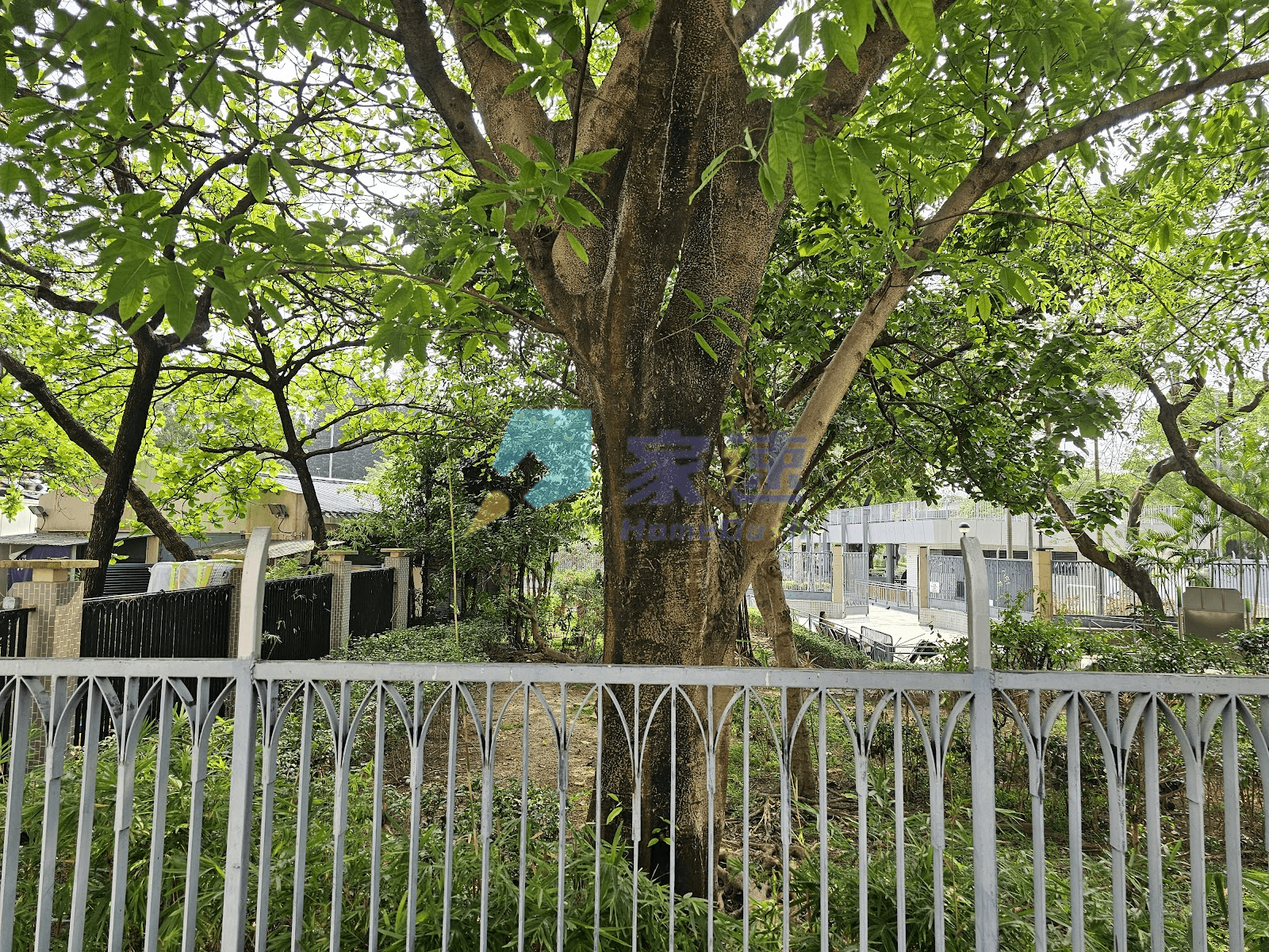 美城花園大廈 屋苑外觀
