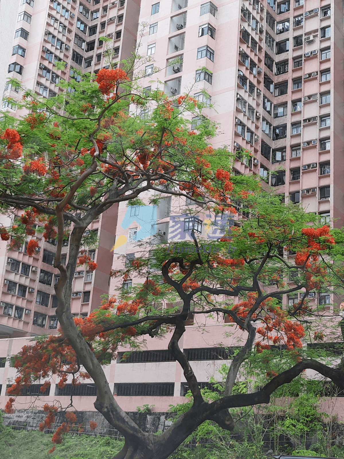 康福臺 2 號 屋苑外觀