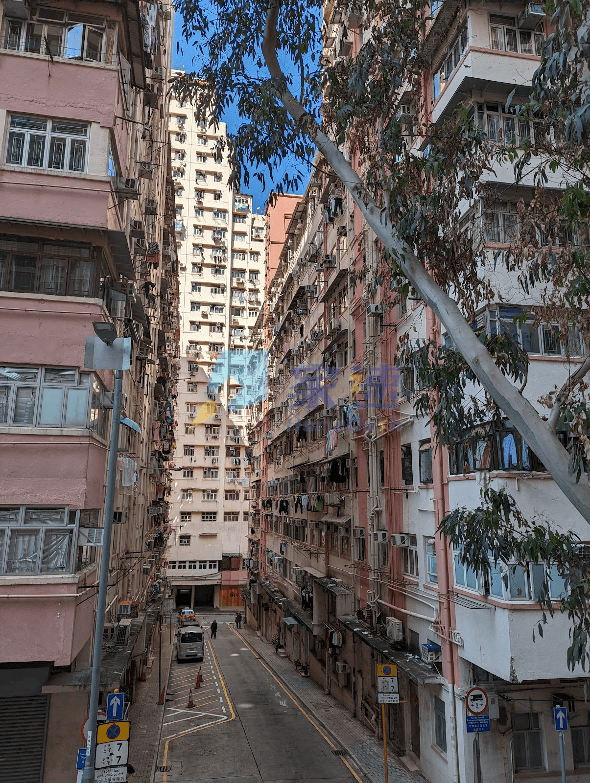 鴻福大樓 屋苑外觀