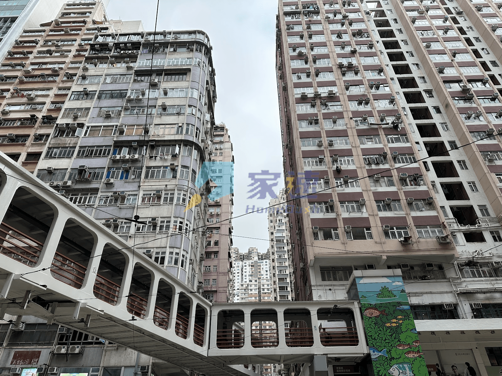 美都大廈 屋苑外觀