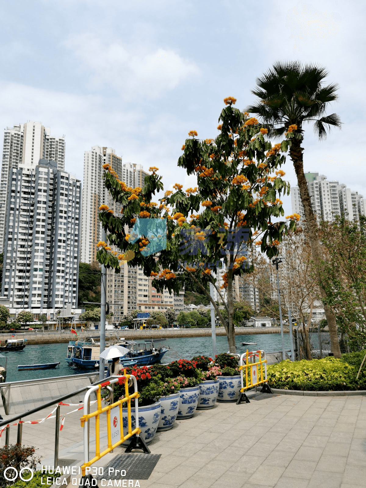 嘉寧大廈 屋苑外觀
