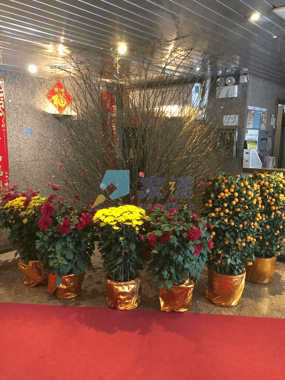 嘉景臺 屋苑外觀