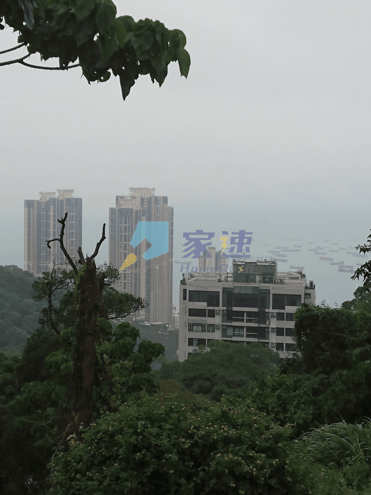 杏彤苑 屋苑外觀