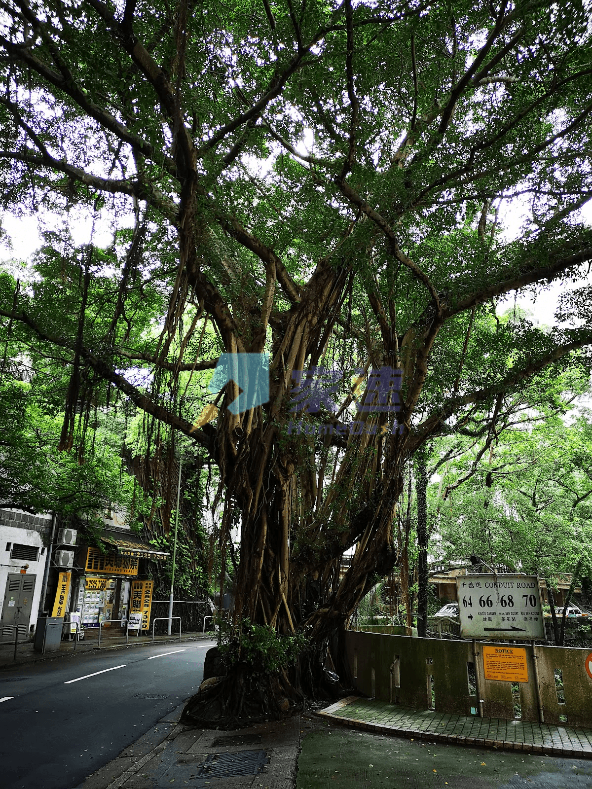 健園 屋苑外觀
