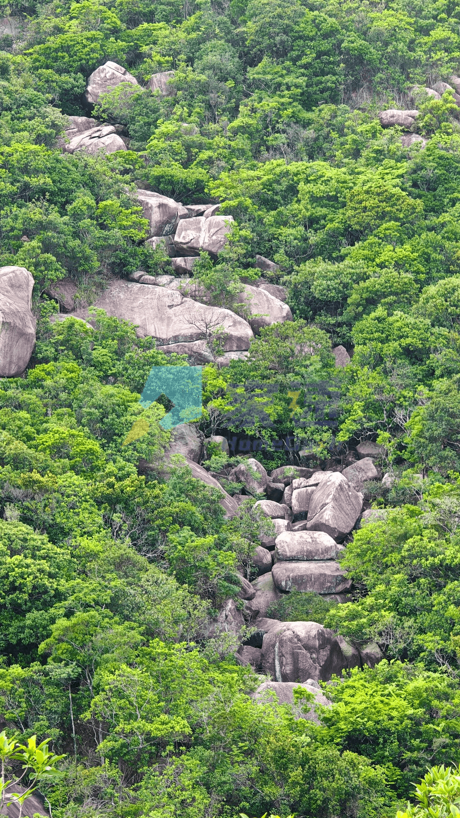 峻譽．渣甸山 屋苑外觀