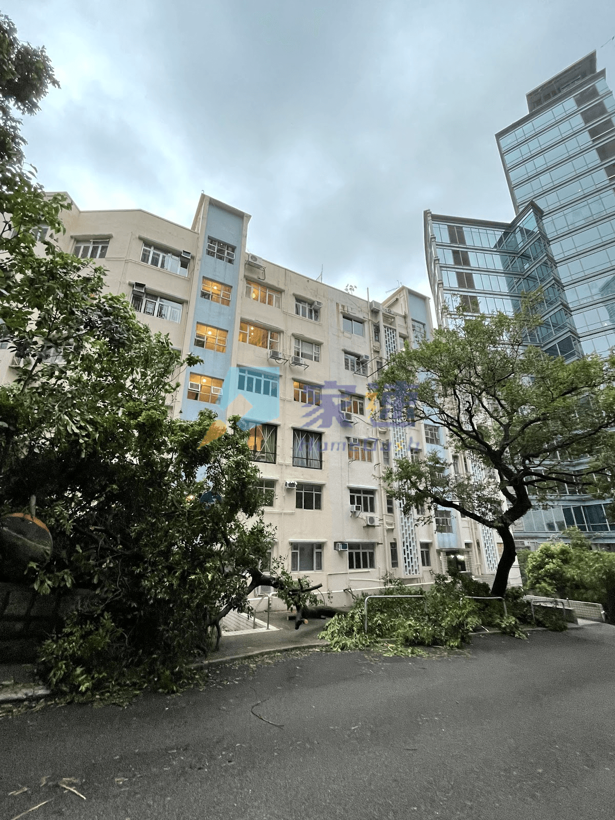 麥堅尼大廈 屋苑外觀