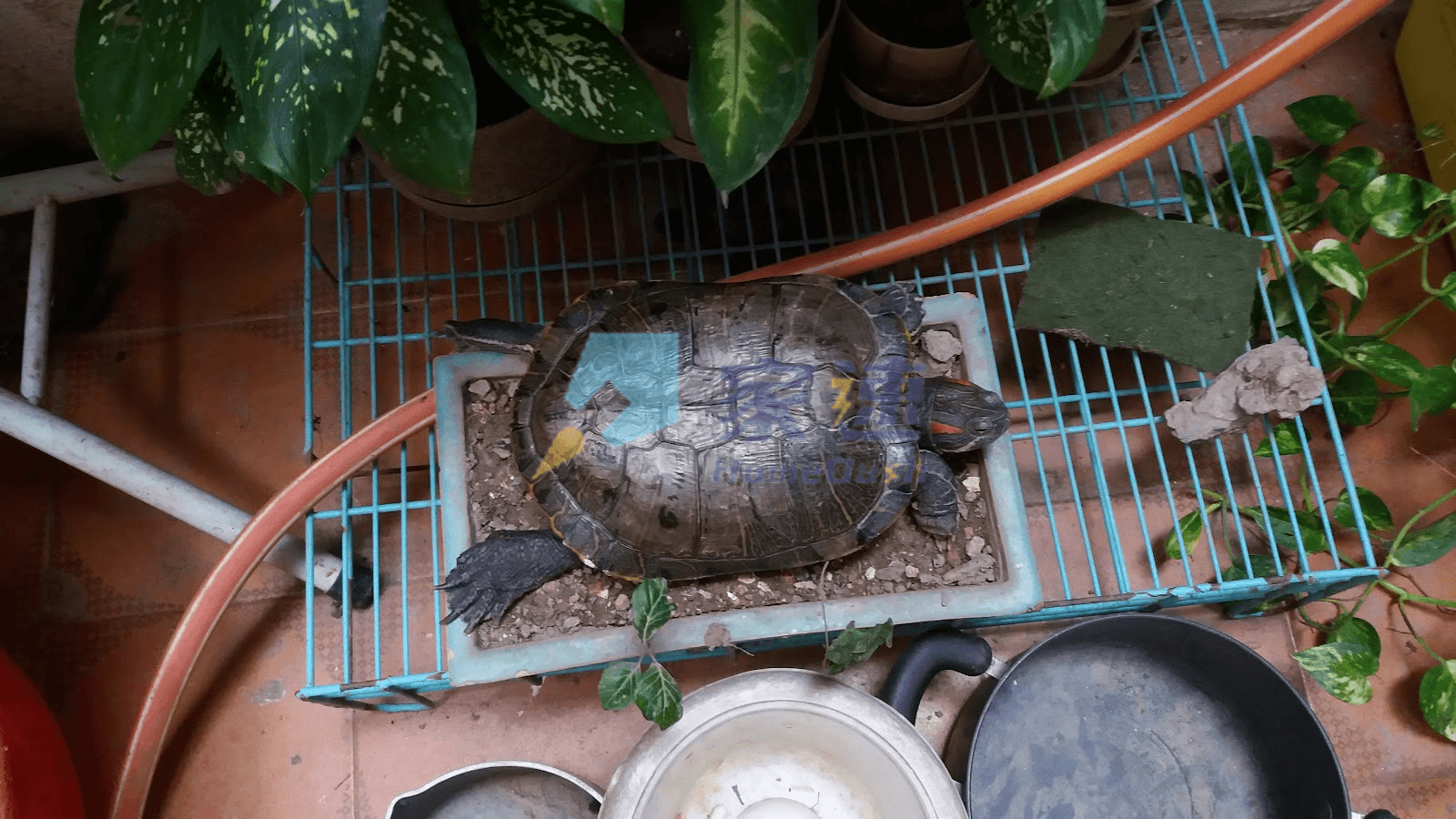 美興樓 屋苑外觀
