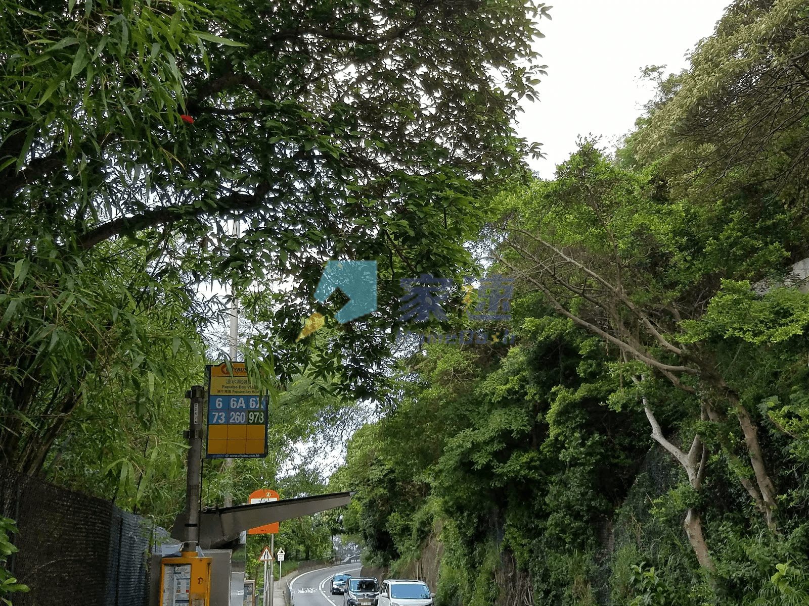 淺水灣別墅 屋苑外觀