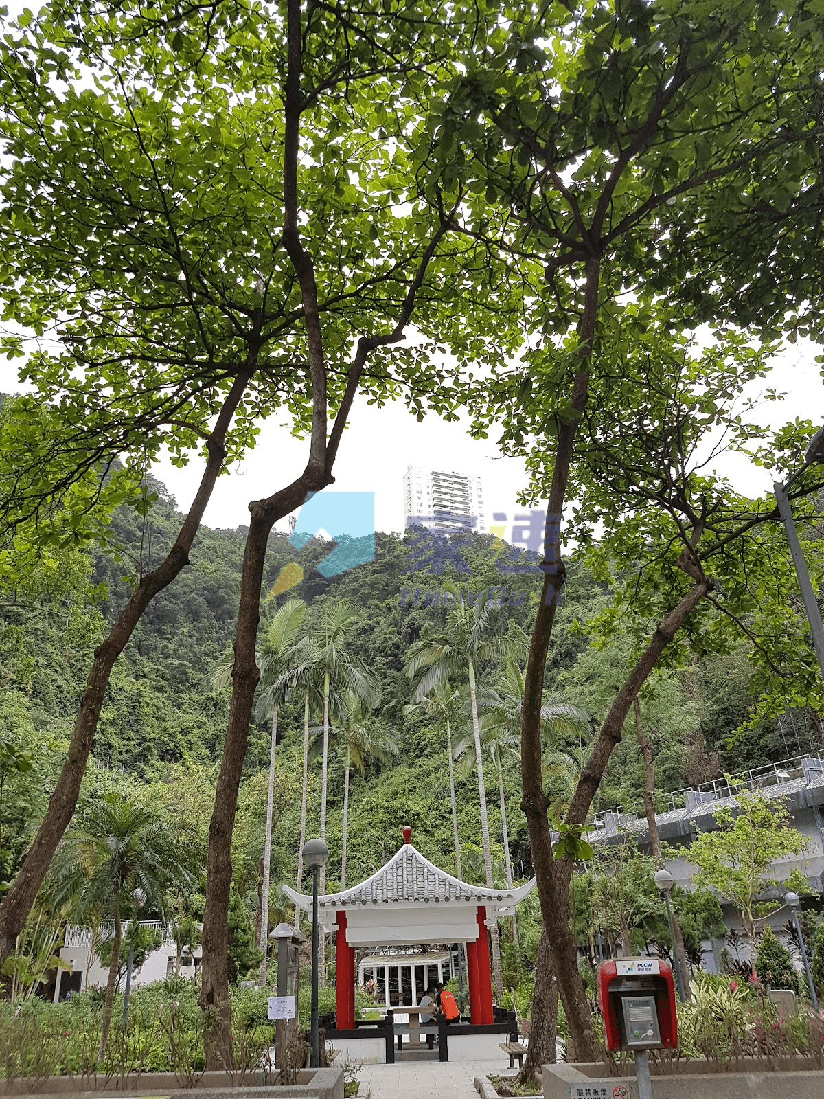 馬己仙峽道26號 屋苑外觀