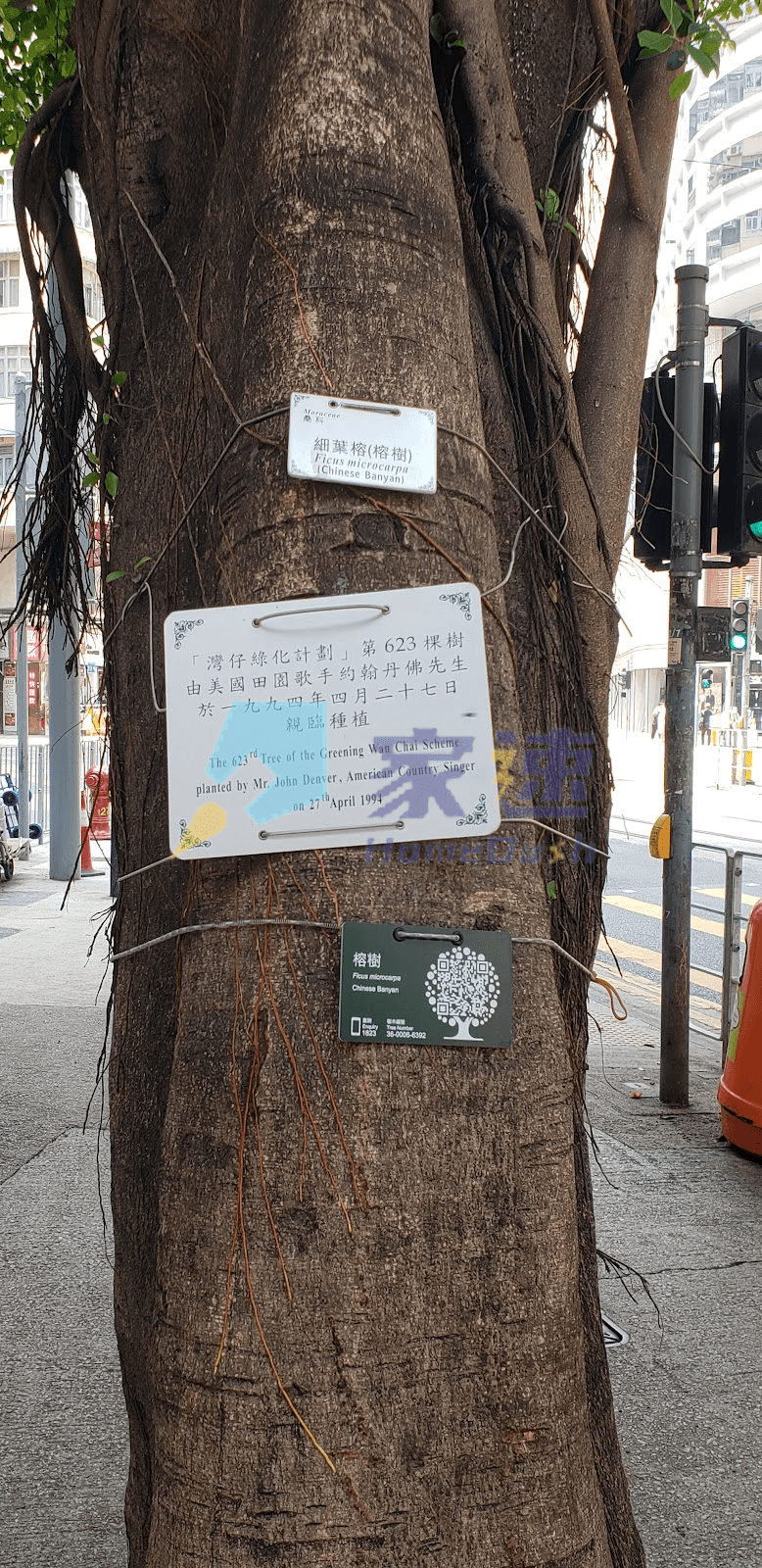 中匯大樓 屋苑外觀