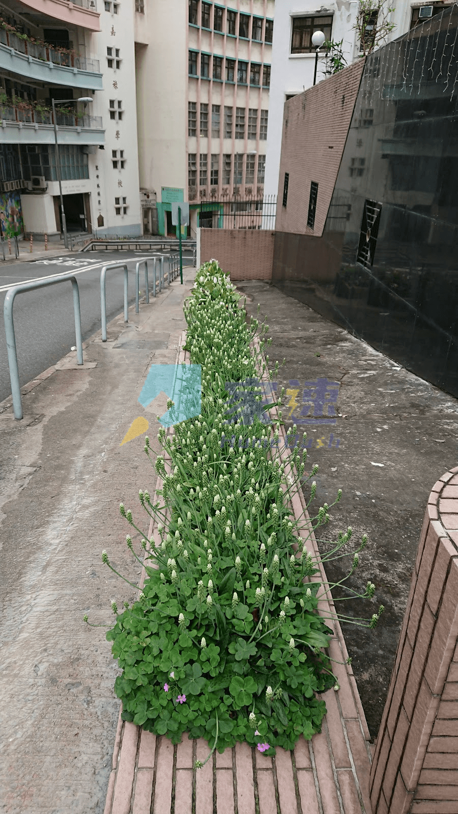 蒲苑 屋苑外觀