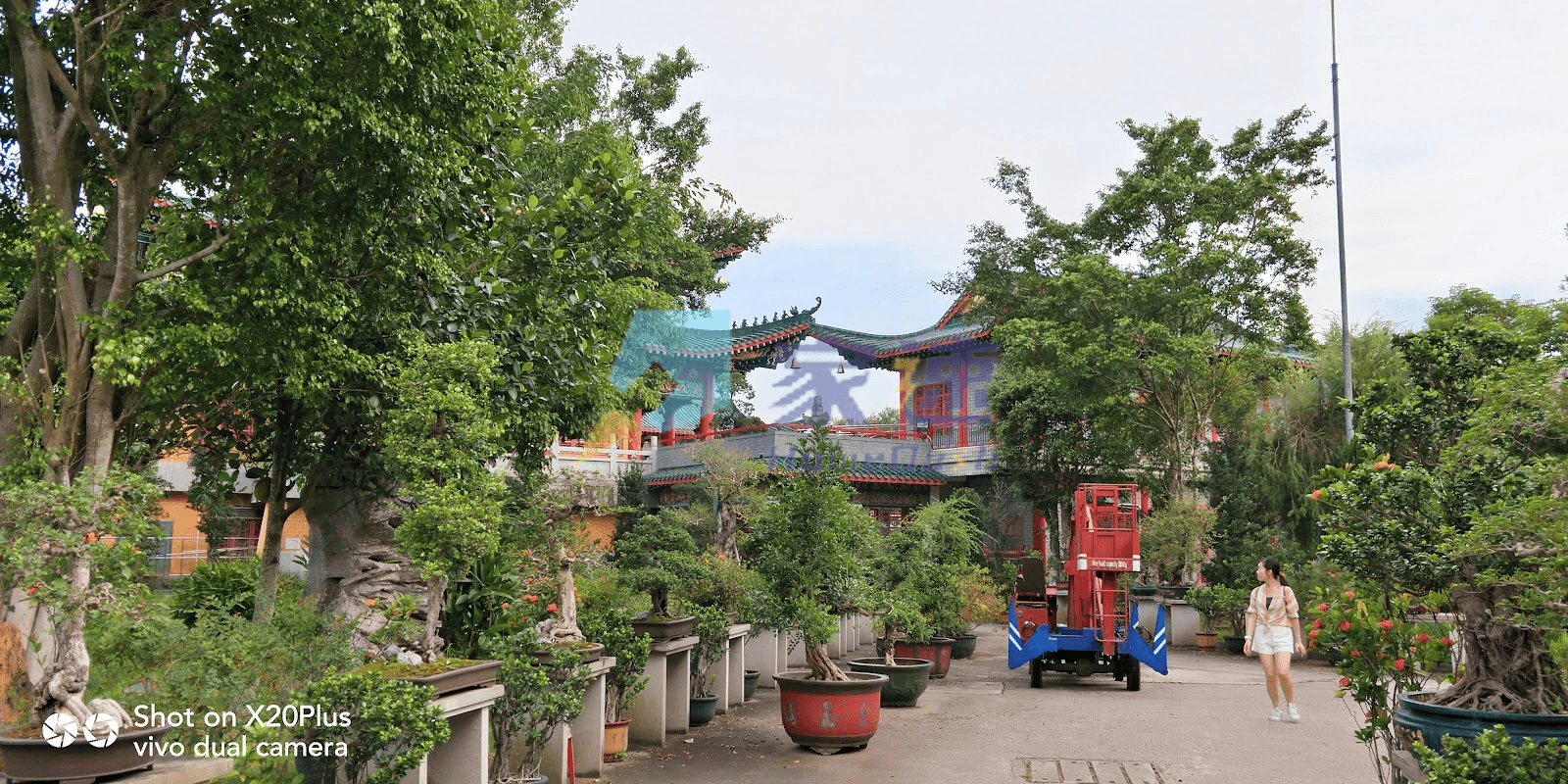 奇峰山莊 屋苑外觀