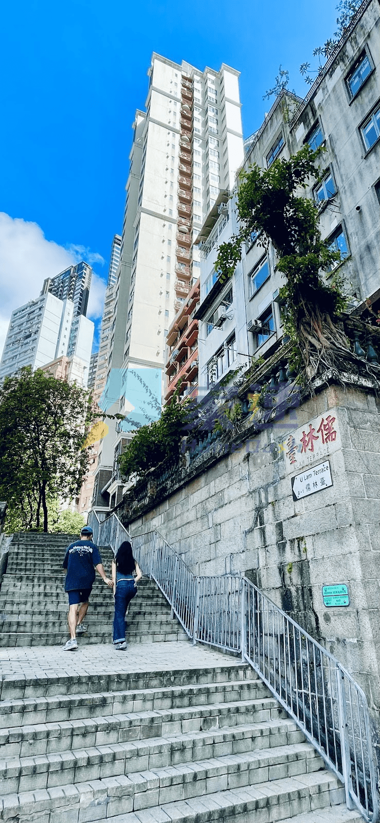 儒林閣 屋苑外觀