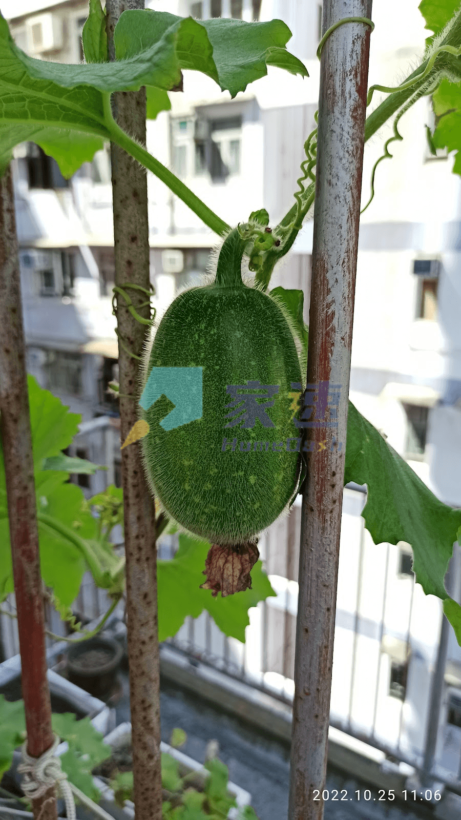 海富樓 屋苑外觀